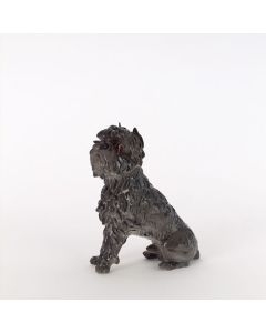 Affenpinscher