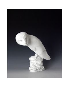Barn Owl