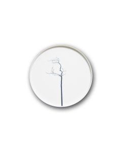 Black Forest Contemporary Plate