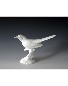 Blackbird
