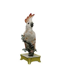Cockatoo