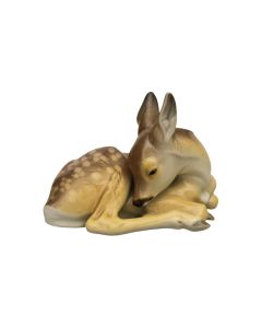 Fawn