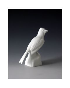 Finch