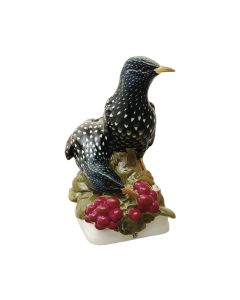 Group of Starlings