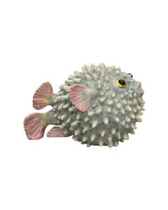 Hedgehog Fish