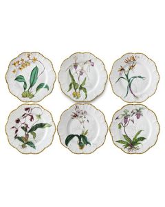 Jardin D'Orchidees Dinner Plate