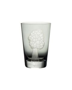 Mushrooms Morel Tumbler