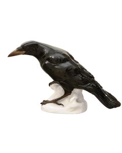 Raven