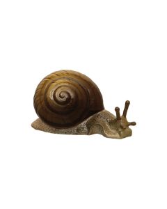 Snail