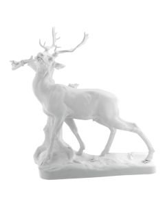 Stag at Tree Trunk