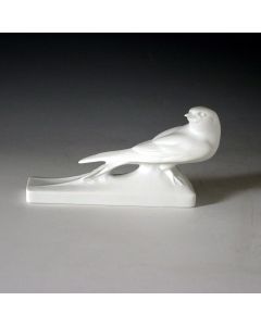 Swallow