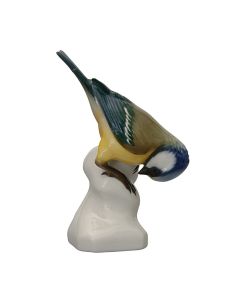 Titmouse