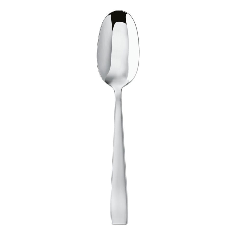 Flat Table Spoon